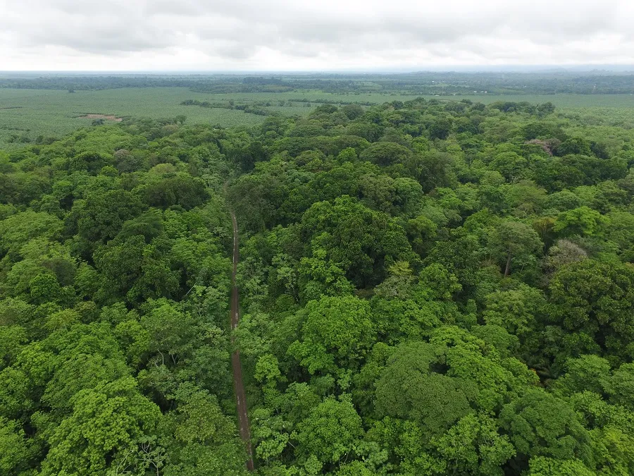 Murindó: La Resistencia de la Selva