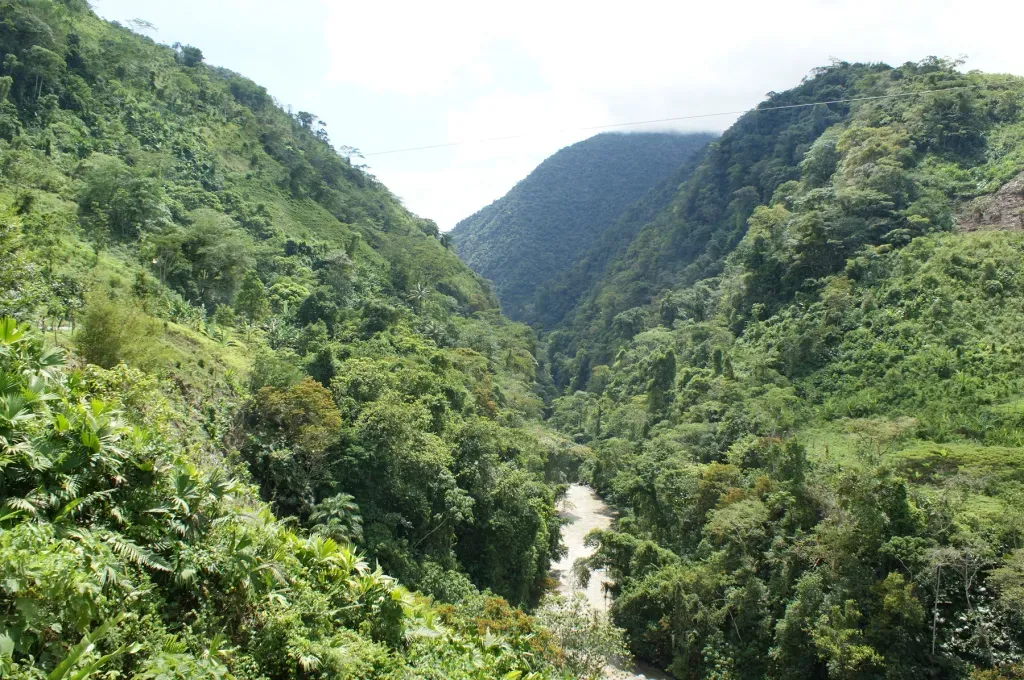 Arterias de Vida: Los Ríos de Urabá